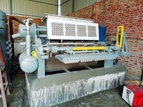 egg tray machine